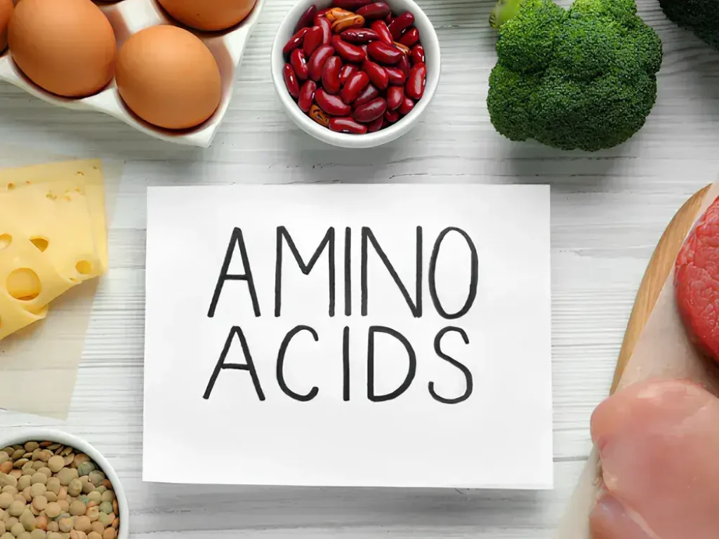 Amino Acid 2